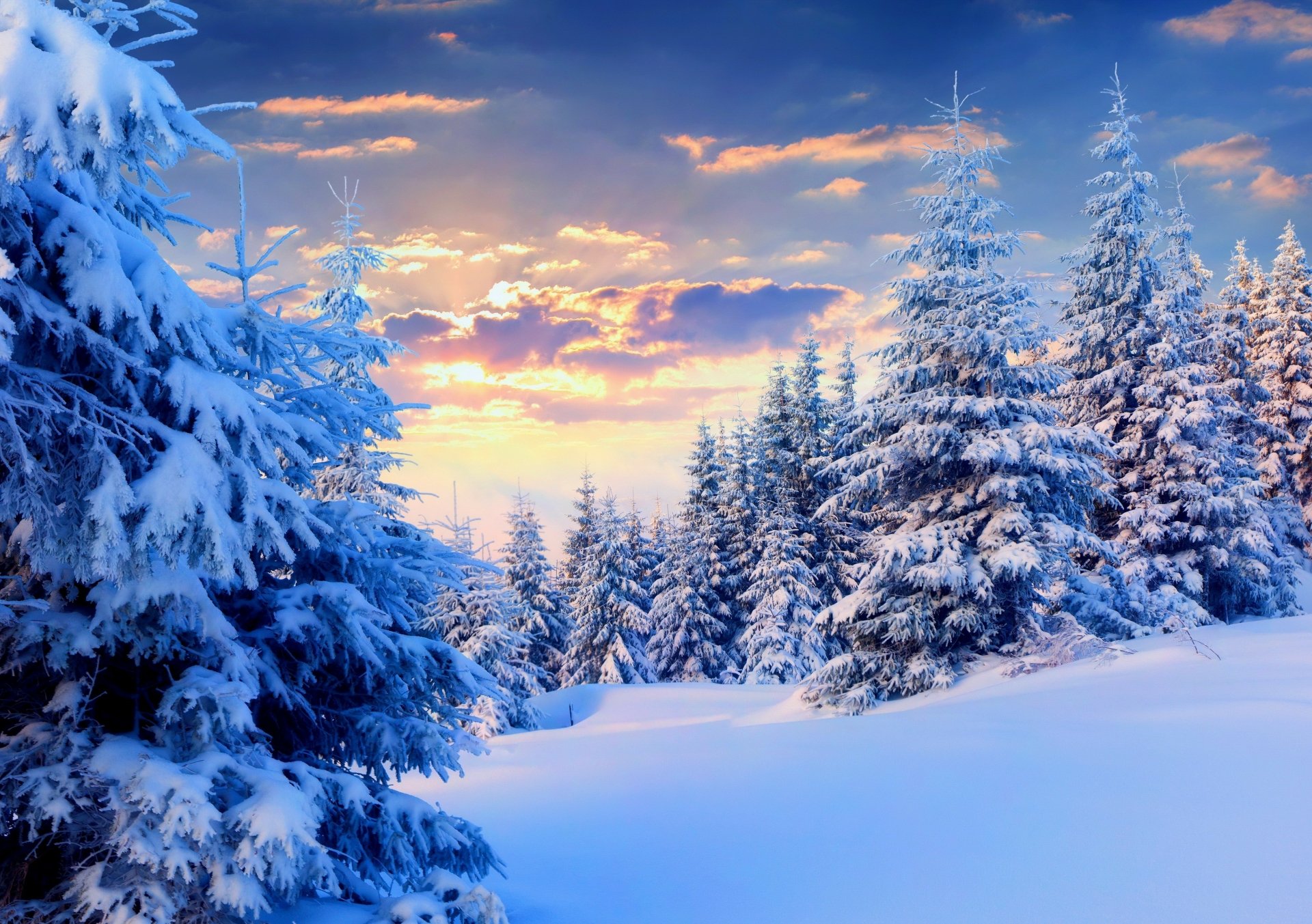 Nature Hiver 4k Ultra HD Fond D cran