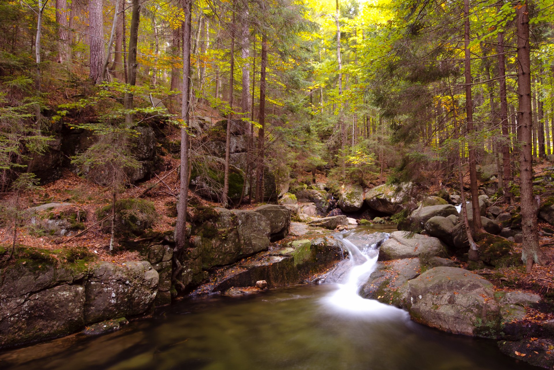 Download Nature Stream HD Wallpaper