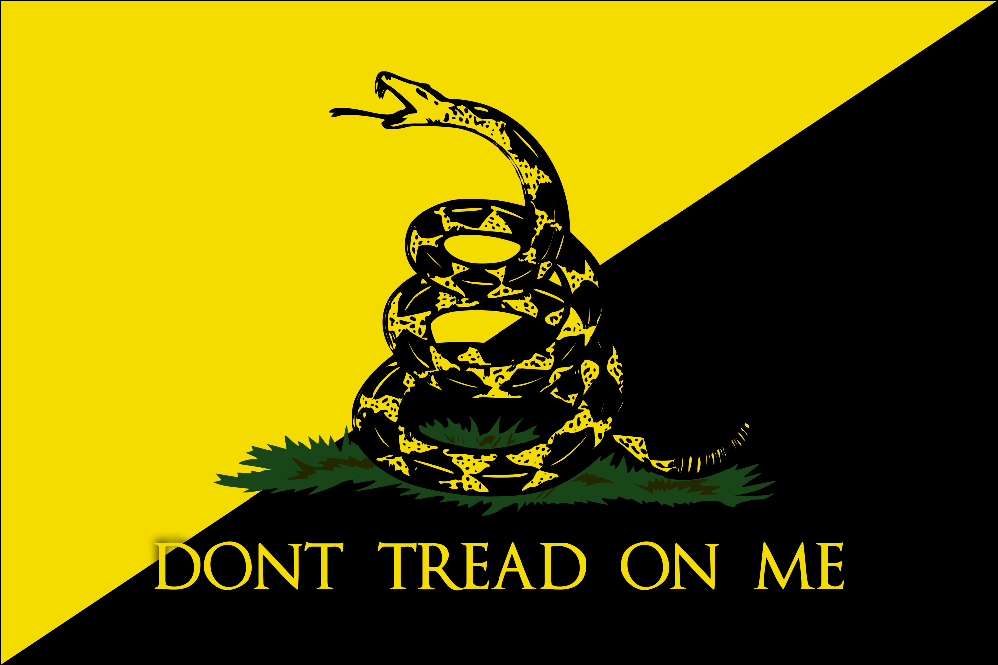 Dont Tread On Me Flag Wallpaper