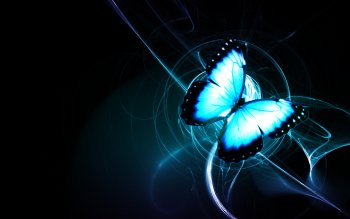 1568 Butterfly HD Wallpapers | Background Images - Wallpaper Abyss ...