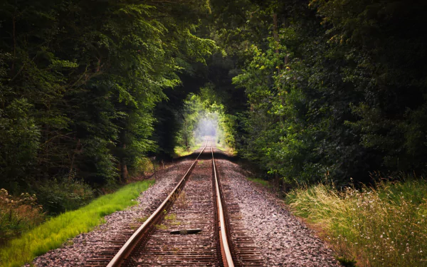 A serene view of a railroad track stretching through a lush green forest, framed by trees, creating a natural tunnel effect. 4K Ultra HD quality enhances the vibrant colors and details.