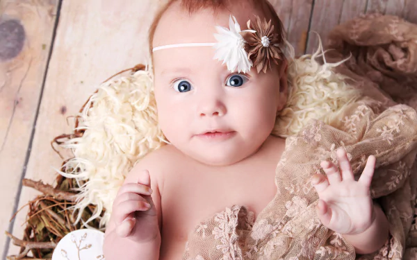 photography baby HD Desktop Wallpaper | Background Image