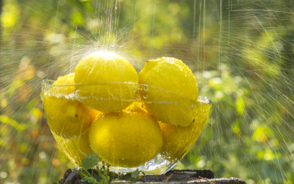 food lemon HD Desktop Wallpaper | Background Image