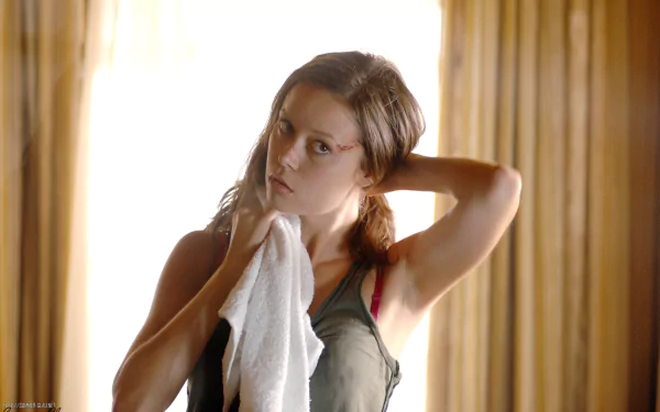 TV Show Terminator: The Sarah Connor Chronicles HD Desktop Wallpaper | Background Image