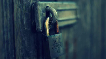 lock man made Padlock HD Desktop Wallpaper | Background Image