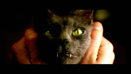 HD PC desktop wallpaper featuring a close-up of a black cat with glowing green eyes held by hands, inspired by the movie Constantine.