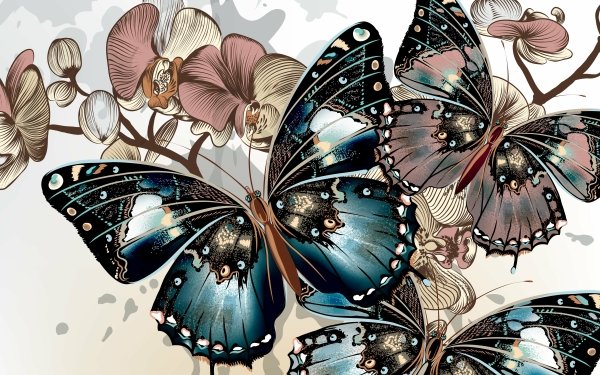 Animales Mariposa Vector Flor Wings Florecer Fondo de pantalla HD | Fondo de Escritorio