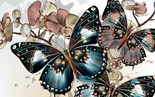 Animal butterfly HD Desktop Wallpaper | Background Image