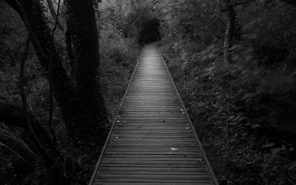 man made boardwalk HD Desktop Wallpaper | Background Image