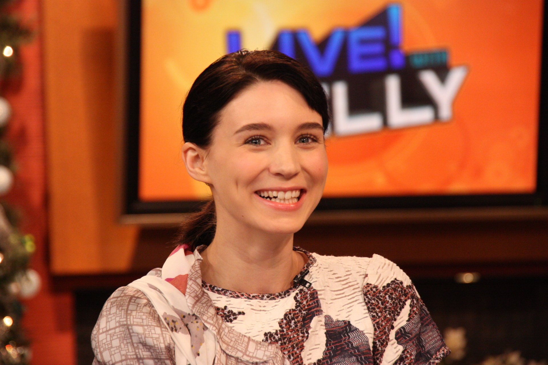 Download Celebrity Rooney Mara HD Wallpaper