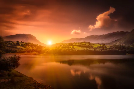  Dorados Reflejos ( Golden Reflections ) by Mariluz Rodriguez