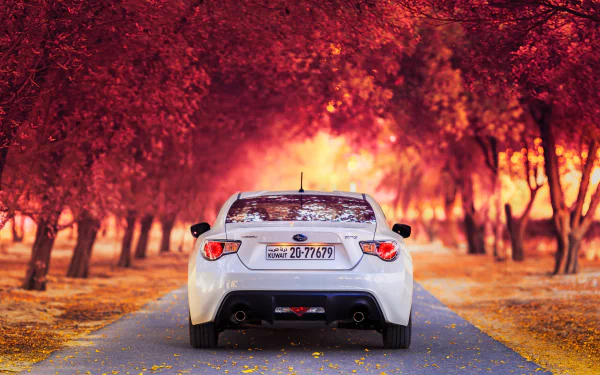 A Subaru BRZ parked on a scenic alley in Kuwait, surrounded by vibrant fall foliage, creating a stunning autumn backdrop. High-definition wallpaper for desktop use.
