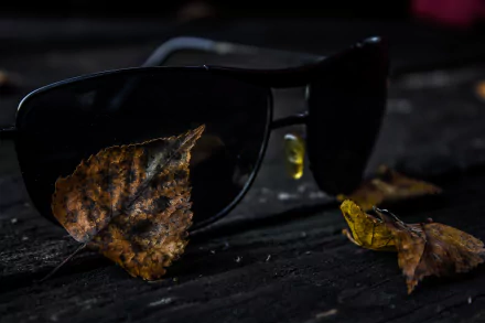 HD PC desktop wallpaper: black sunglasses on weathered dark wood with scattered autumn leaves, moody low-light fall scene highlighting the man-made glasses.