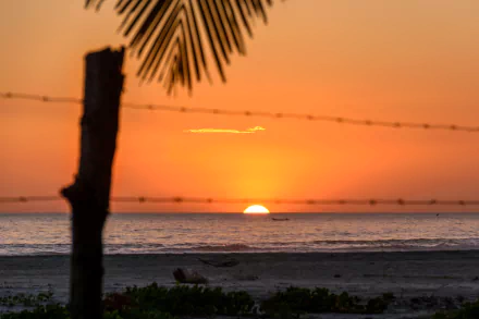 Sunset over the sea at Costa del Sol, El Salvador, with a silhouetted fence and palm frond in the foreground, captured in 4K Ultra HD.