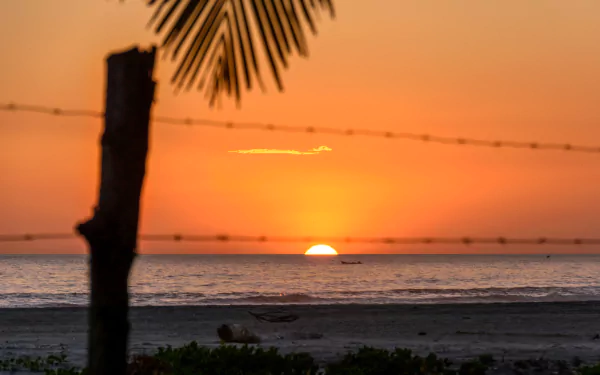 Sunset over the sea at Costa del Sol, El Salvador, with a silhouetted fence and palm frond in the foreground, captured in 4K Ultra HD.
