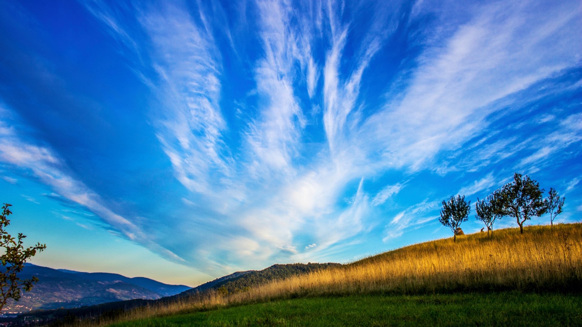 HD desktop wallpaper showcasing a grassy hillside under a vibrant blue sky with wispy clouds, capturing the beauty of nature.