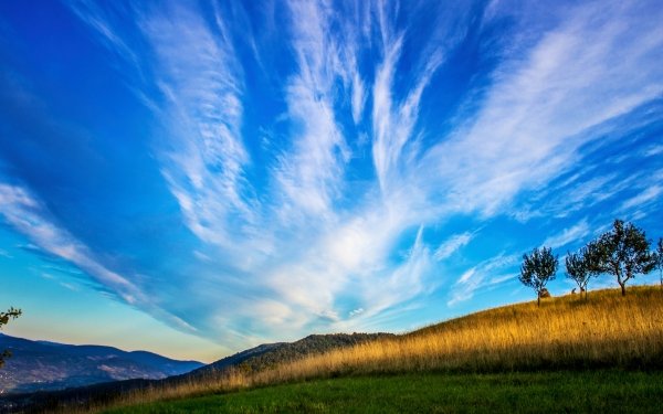 Earth Sky Blue Nature Grass HD Wallpaper | Background Image