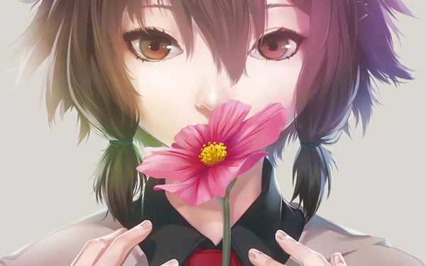 Anime Girl Flower Brown Hair Brown Eyes HD Wallpaper | Background Image