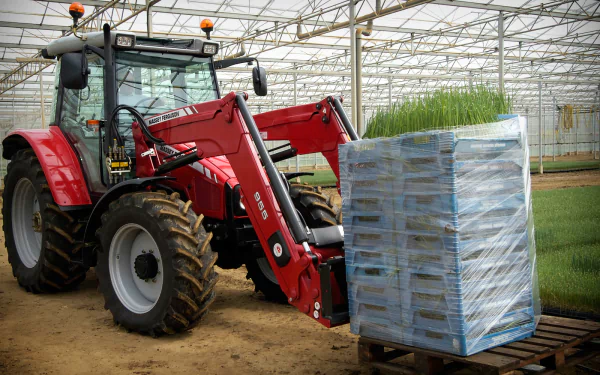 A Massey Ferguson tractor is featured in a greenhouse, lifting a stack of pallets. This HD image serves as a striking PC desktop wallpaper and background.
