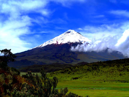  Cotopaxi