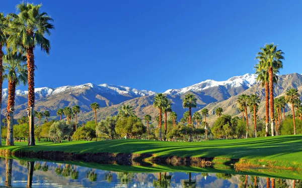 HD desktop wallpaper showcasing California's Palm Springs nature with palm trees, a reflective water body, and snow-capped mountains under a clear blue sky.