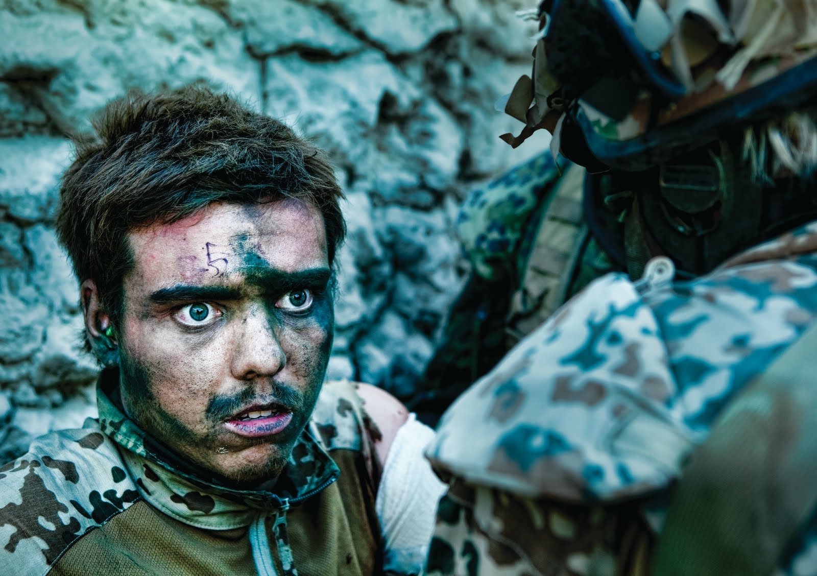 Download Movie Armadillo Wallpaper