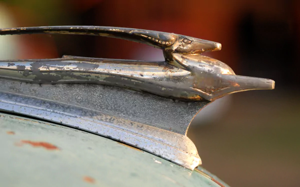 photography Hood Ornament HD Desktop Wallpaper | Background Image