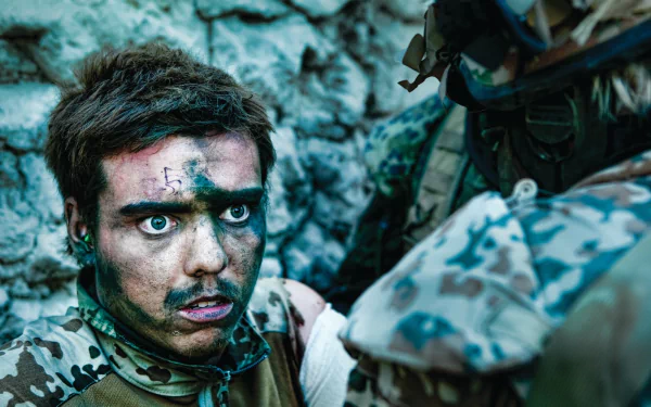 movie armadillo HD Desktop Wallpaper | Background Image