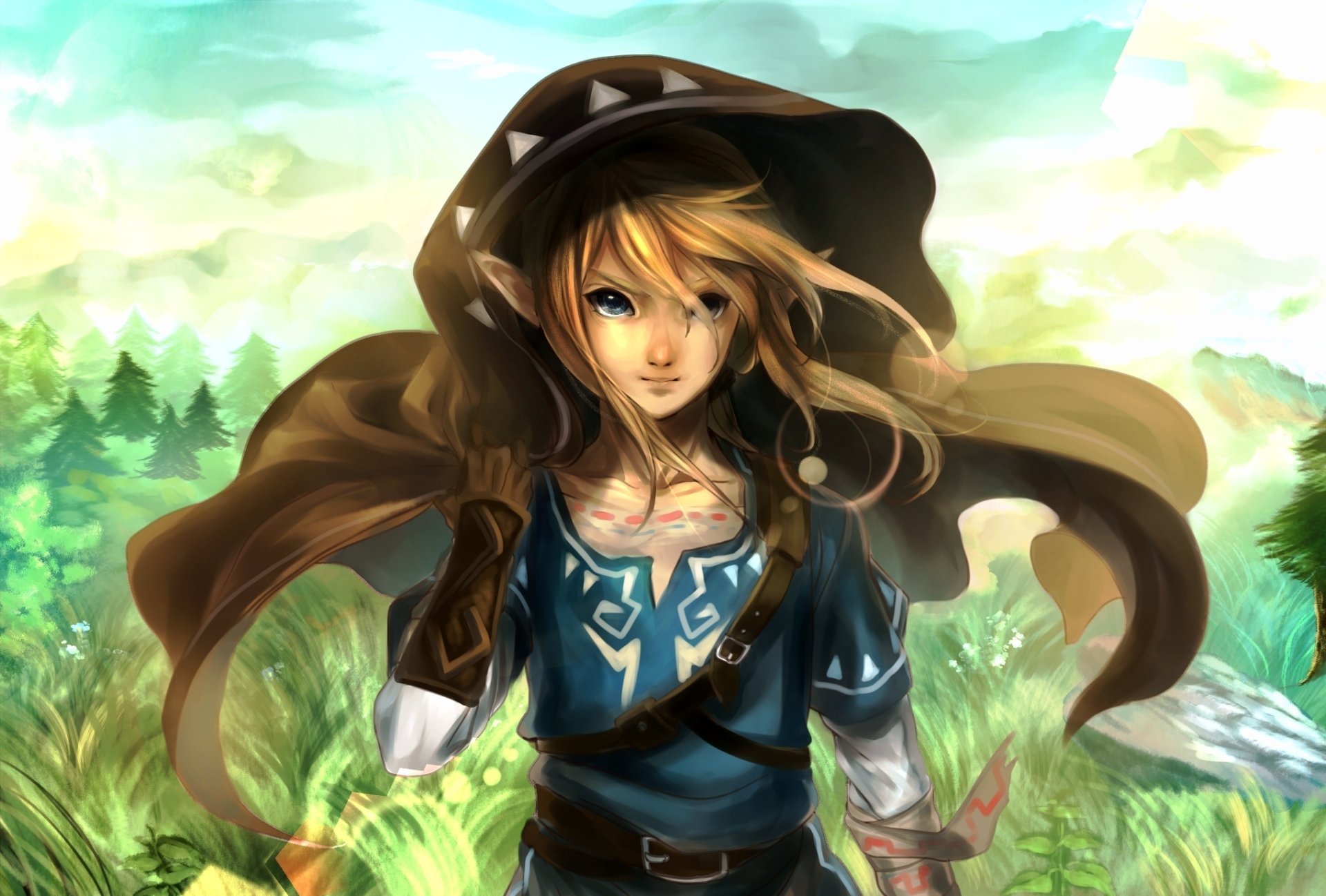 Download Long Hair Link Video Game The Legend Of Zelda: Breath Of The ...