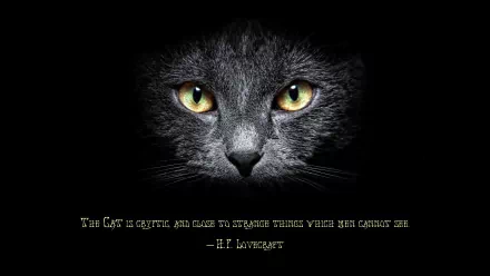 A striking HD wallpaper featuring a close-up of a cat's face with glowing yellow eyes, accompanied by a quote from H.P. Lovecraft: The Cat is cryptic... against a dark background.
