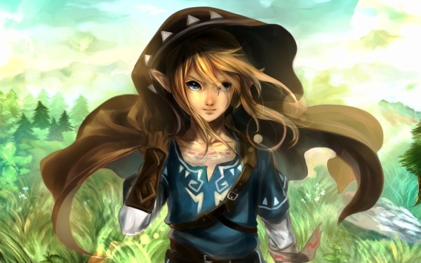 Video Game The Legend of Zelda: Breath of the Wild Zelda Link Long Hair HD Wallpaper | Background Image
