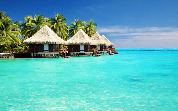 5K Ultra HD PC desktop wallpaper: overwater huts/bungalows beside palm trees above a turquoise tropical lagoon and sea under a clear blue sky — tropical photography