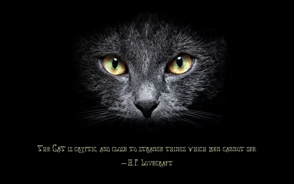 A striking HD wallpaper featuring a close-up of a cat's face with glowing yellow eyes, accompanied by a quote from H.P. Lovecraft: The Cat is cryptic... against a dark background.