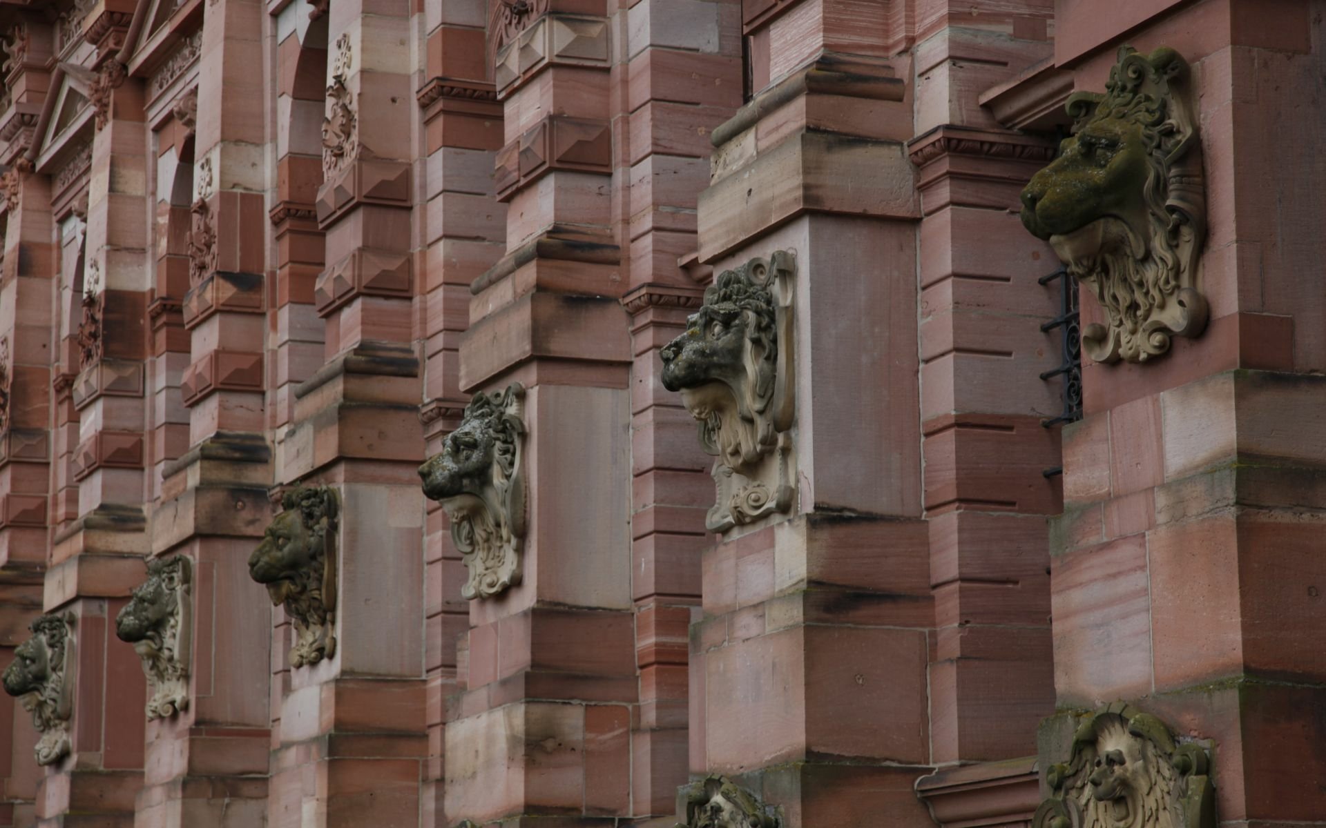 Download Man Made Heidelberg Castle HD Wallpaper