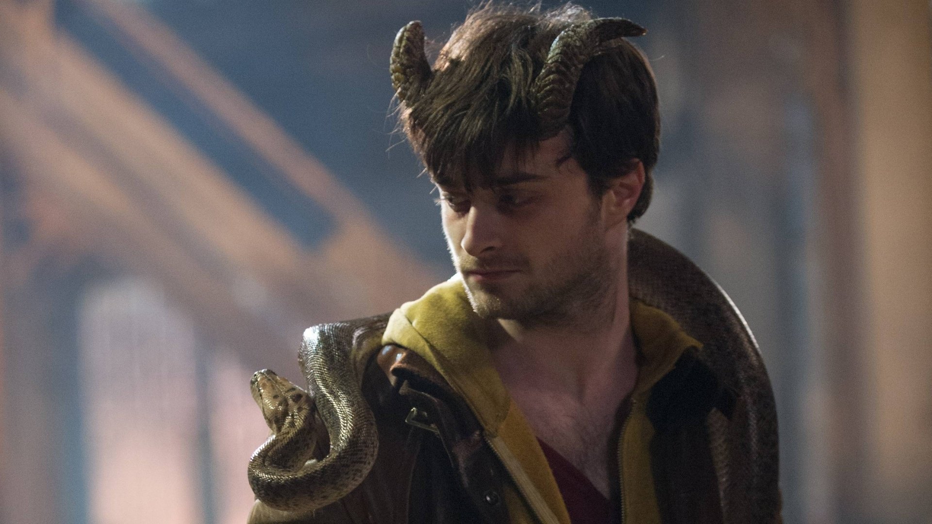 Download Movie Horns (Movie) HD Wallpaper