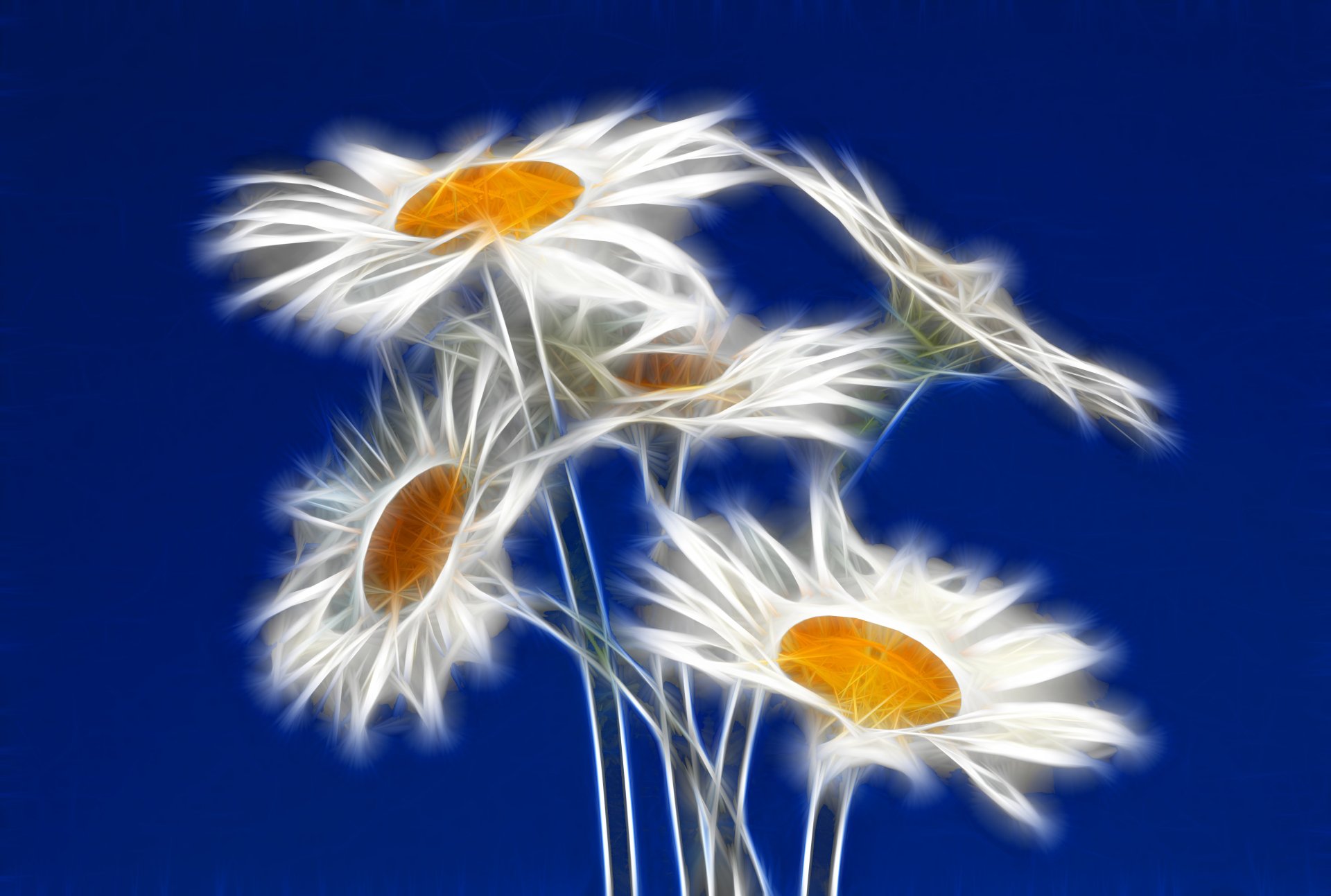 Download Daisy Artistic Flower 4k Ultra HD Wallpaper | 5228x3520 ...