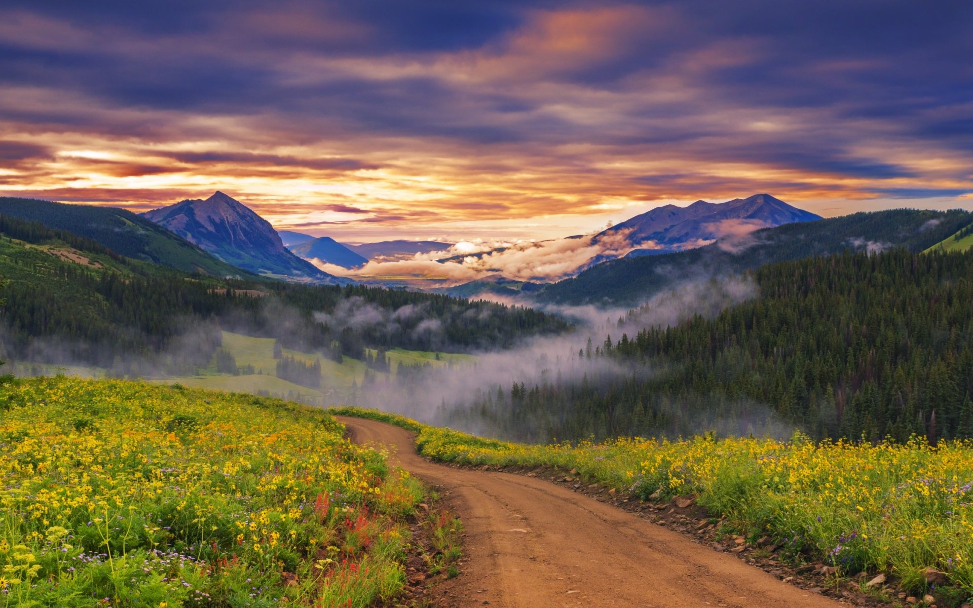 Download Man Made Path HD Wallpaper | 2560x1600 | Wallpaper Abyss