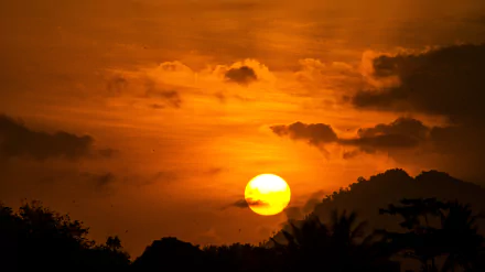 sun tropics Indonesia nature sunset HD Desktop Wallpaper | Background Image