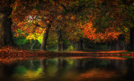 2K Quad HD PC desktop wallpaper — fall nature landscape: trees with fiery orange and green leaves arch over a calm pond, autumn foliage mirrored in the water.