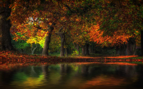 2K Quad HD PC desktop wallpaper — fall nature landscape: trees with fiery orange and green leaves arch over a calm pond, autumn foliage mirrored in the water.