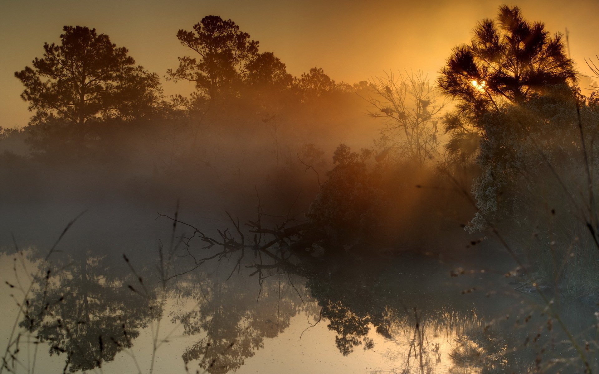 Download Nature Sunset HD Wallpaper