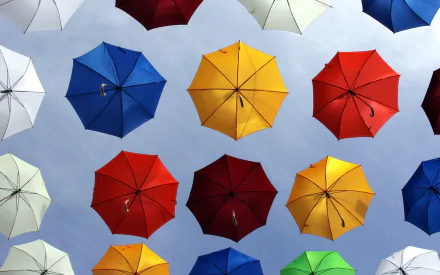 photography umbrella HD Desktop Wallpaper | Background Image
