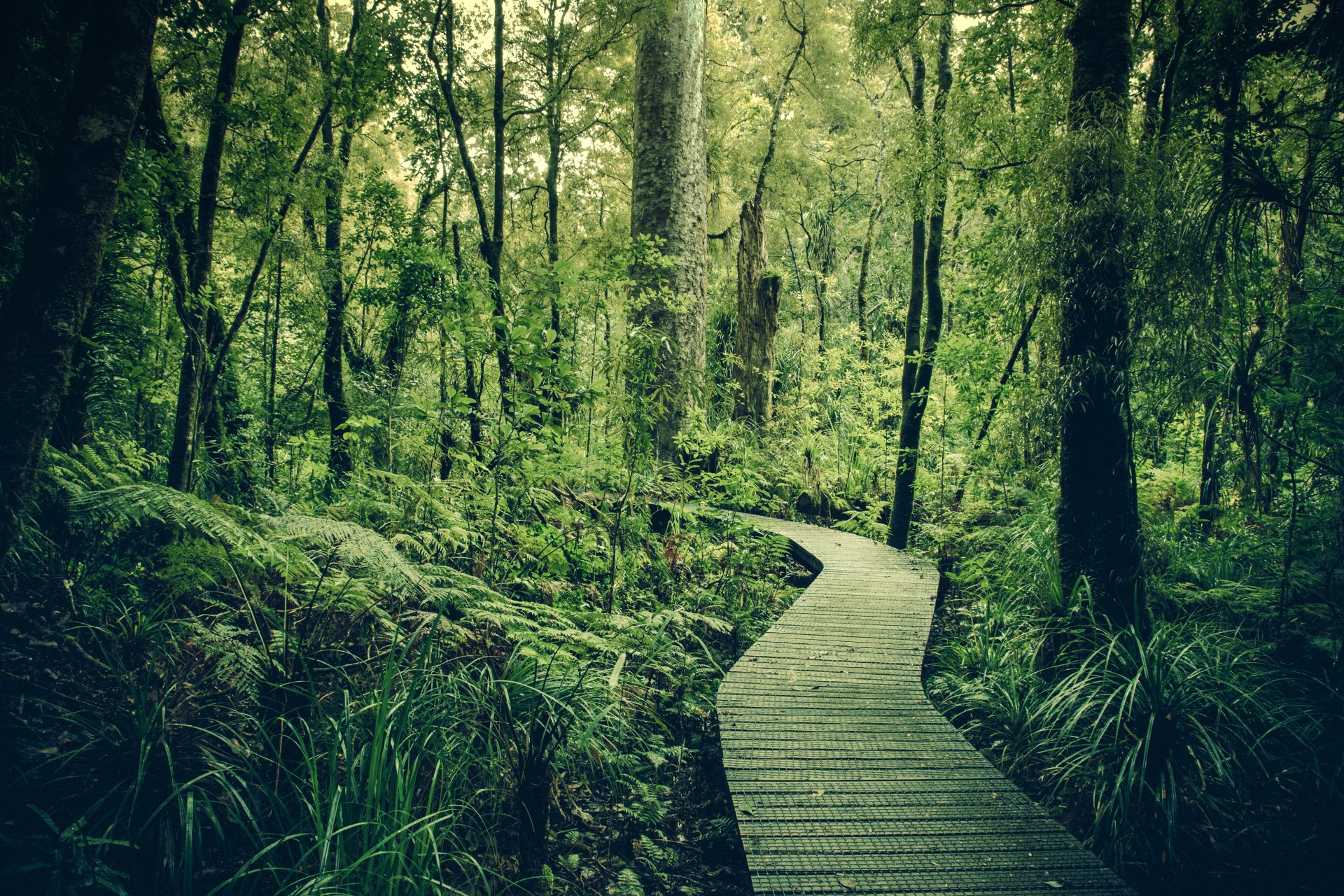 Download Man Made Boardwalk 4k Ultra HD Wallpaper