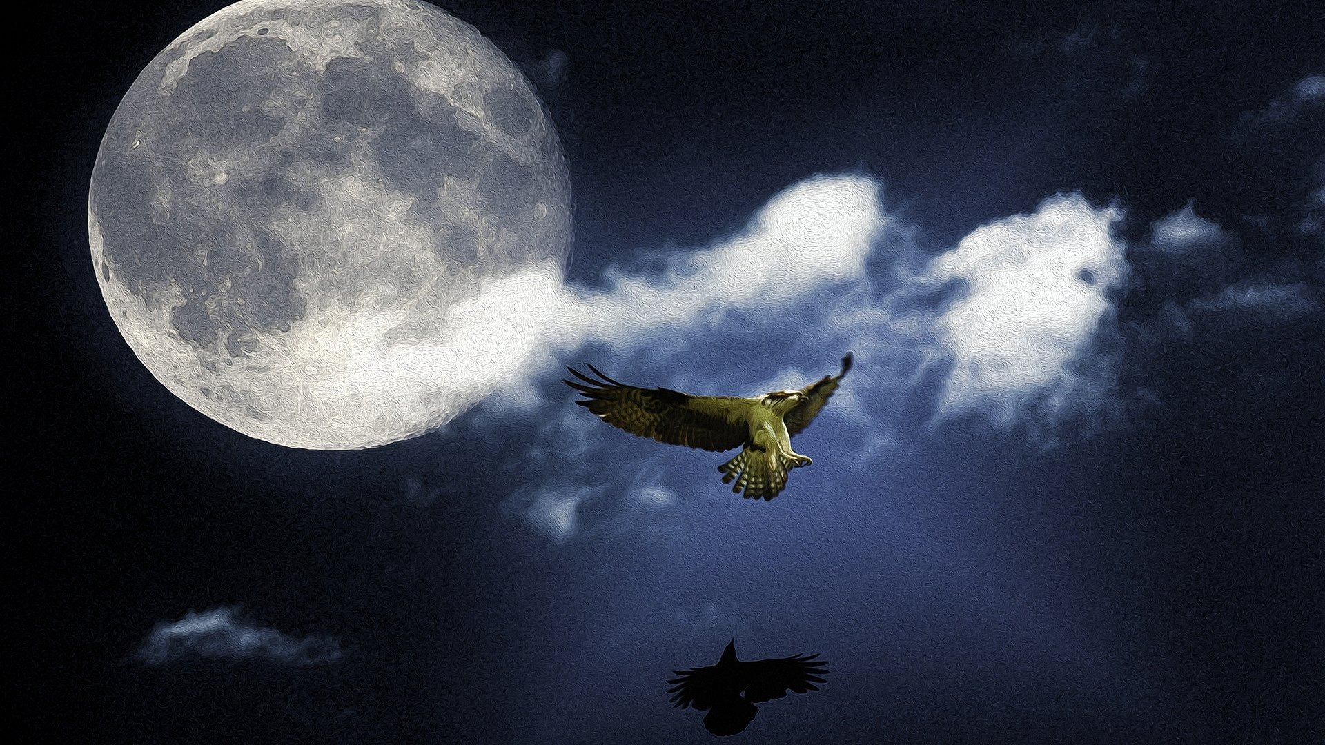 Птицы в небе ночью