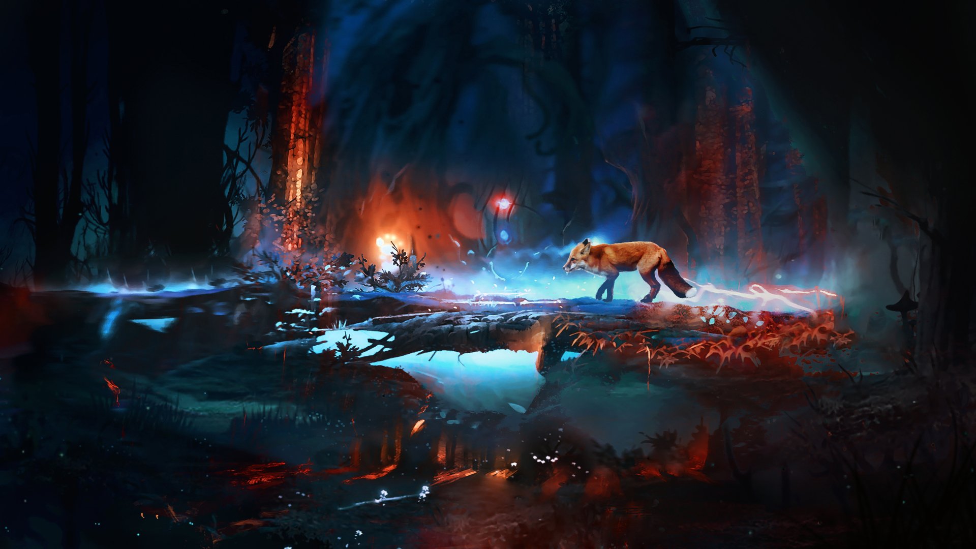 A vibrant HD desktop wallpaper featuring a fox walking through a mystical forest, illuminated by colorful lights and reflections in the water, creating a captivating atmosphere.
