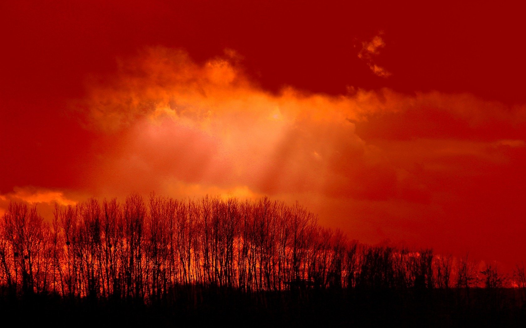 Download Nature Sunset Wallpaper | 1680x1050 | Wallpaper Abyss