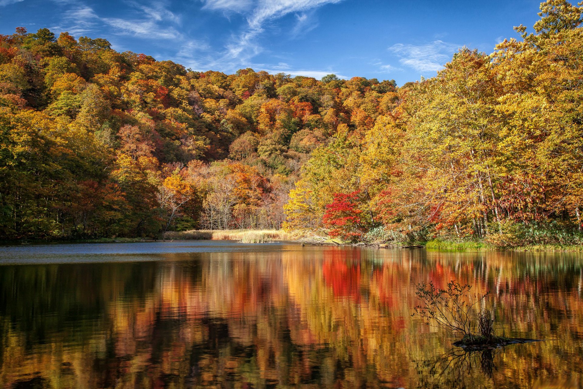 Download Nature River HD Wallpaper