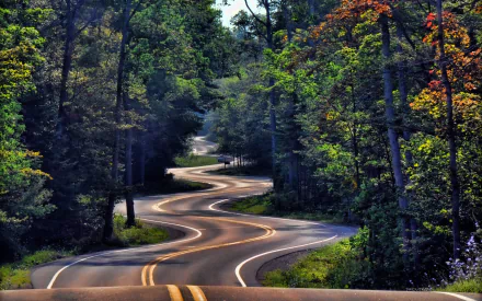 HD PC desktop wallpaper: a man-made winding road threading through a dense green forest, sunlight filtering through trees and patches of autumn-colored foliage.