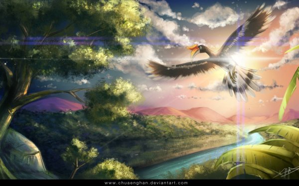 Animal Hornbill Birds Hornbills Flight HD Wallpaper | Background Image