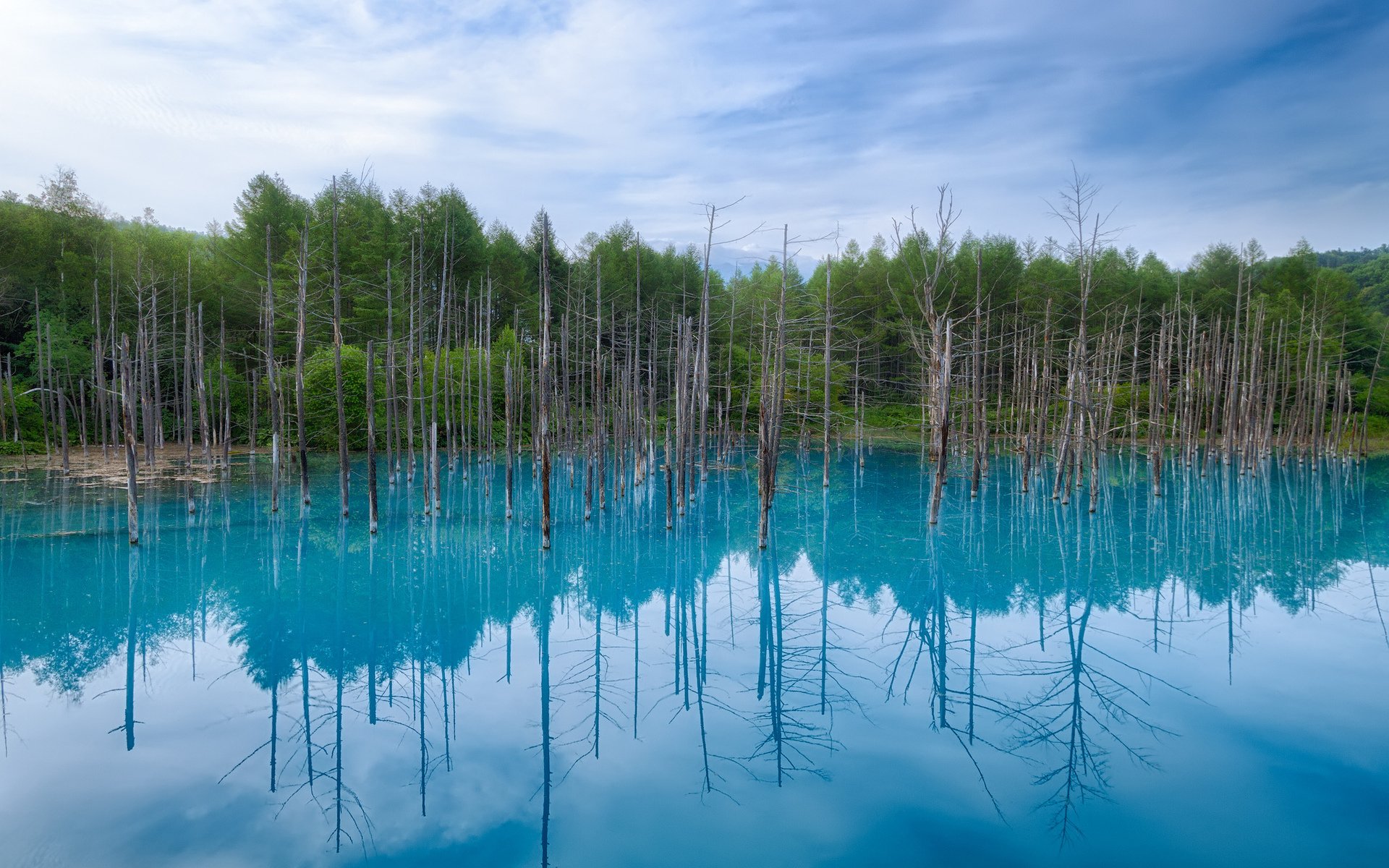 A serene river scene showcasing reflections of trees and a vibrant blue sky, surrounded by lush greenery. This captivating image captures the beauty of nature in stunning HD detail.